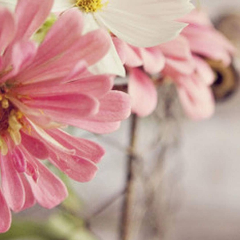 Meet your Posher, PiNK_PolkaDot♡ - Picture 4 of 16